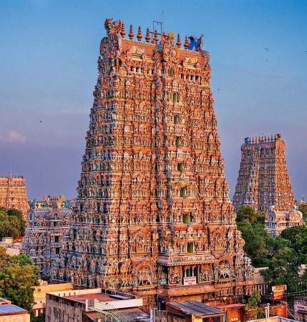 shutterstock-1013396287_main_1552557260545