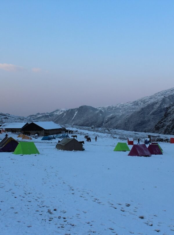 goechala-2574736_1920