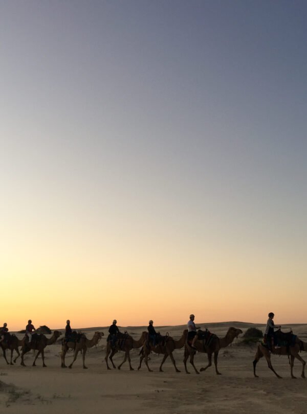 Vintage retro effect filtered hipster style image of Rajasthan t